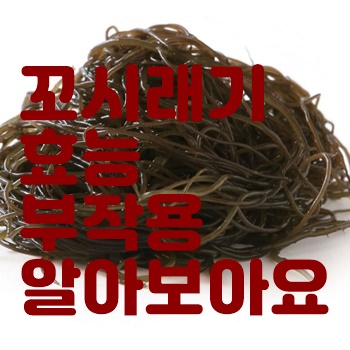 꼬시래기 효능, 먹는법, 꼬시래기 부작용 알아보아요.