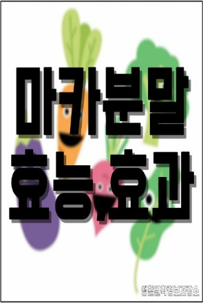 마카뿌리 분말 효능,효과/먹는법/영양성분/부작용