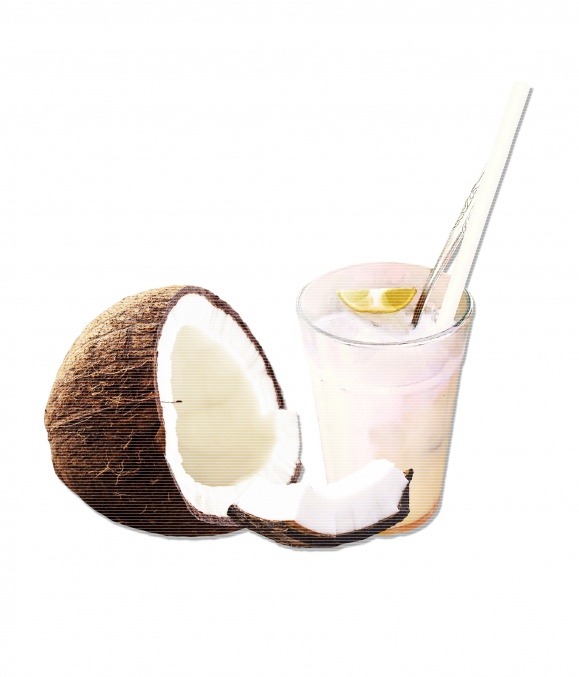 코코넛 밀크가 제공하는 건강 효능과 용도