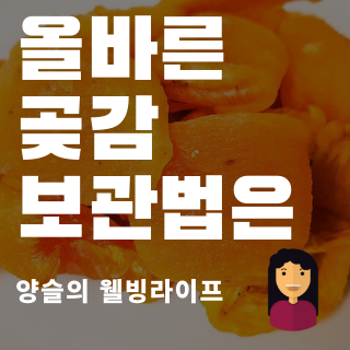 설사를 멈추는데 효과적인 곶감의 올바른 보관법은? :: 양슬의 웰빙 라이프