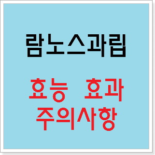 람노스과립 효능 효과, 주의사항 알고 사용하시나요? :: 느리게 즐기면서 꾸준히