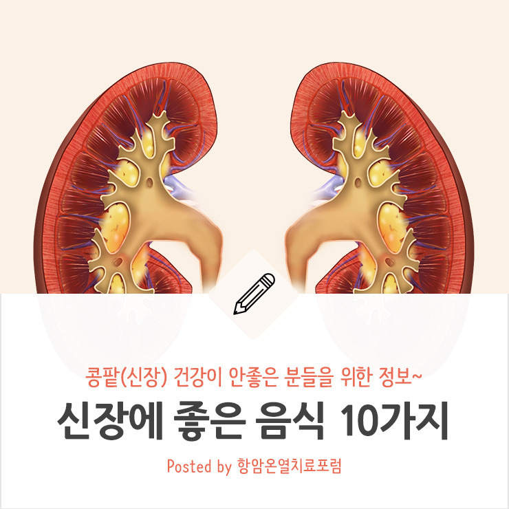 신장(콩팥)에 좋은 음식 10가지