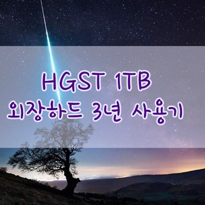 불량률 낮은 외장하드 - HGST Touro Mobile MX3 (투로 모바일) 3년 사용기