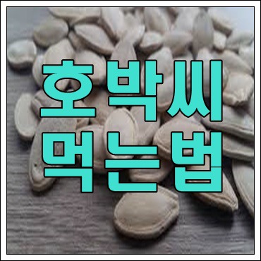 호박씨 먹는법 알아보기