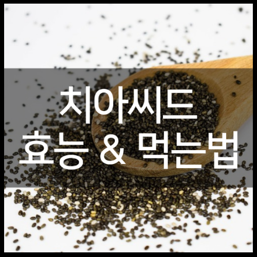 치아씨드 효능 및 효과부터 먹는법 및 하루먹는양 정리