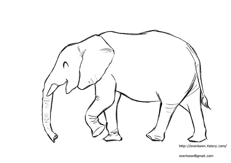 코끼리 쉽게 그리는 방법(How to Draw elephant Easily with an iPad)