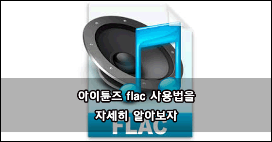 아이튠즈 flac 파일 넣는 방법 2가지 :: 정보는 기준점을 알아야 도움이 된다