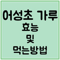 어성초 가루 분말 효능과 먹는방법 | 깡다까리깡다까