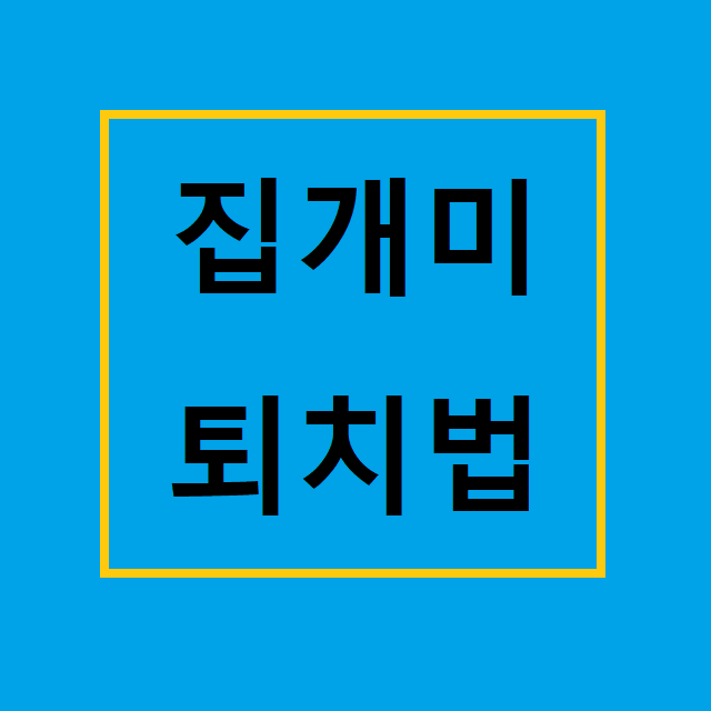 개미 퇴치법 기억하세요 :: 피지컬 스토리