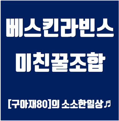 베스킨라빈스 31 추천메뉴,인기메뉴,아이스크림,쿼터,파인트,패밀리 추천조합,인기조합 안내 :: [구아재80] 의 소소한 일상♬