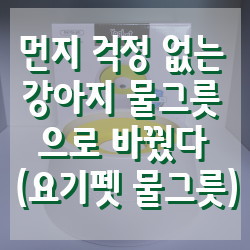 우리 강아지가 물그릇을 뒤집는 이유