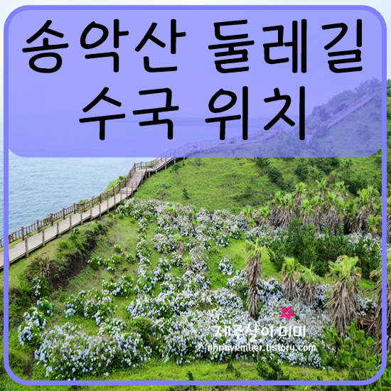 송악산 둘레길 소요시간 제주 송악산 수국