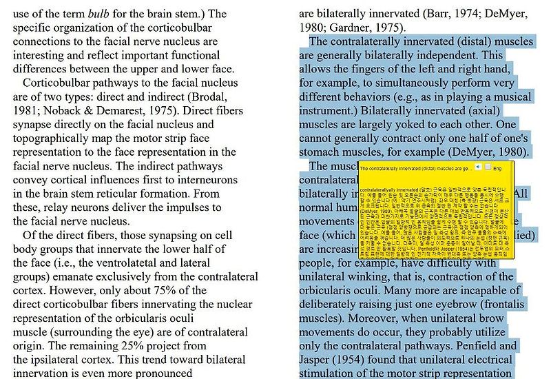[꿀팁]웹 PDF에서 바로 논문 번역결과 보기