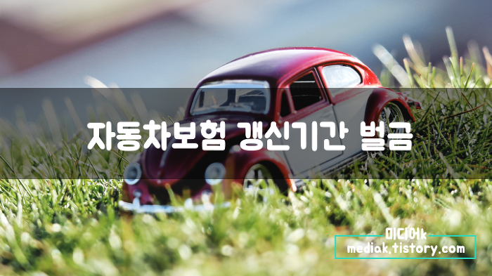 자동차보험 갱신기간 벌금 과태료 :: 미디어k