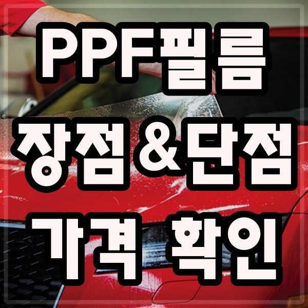PPF필름 시공가격 보호필름