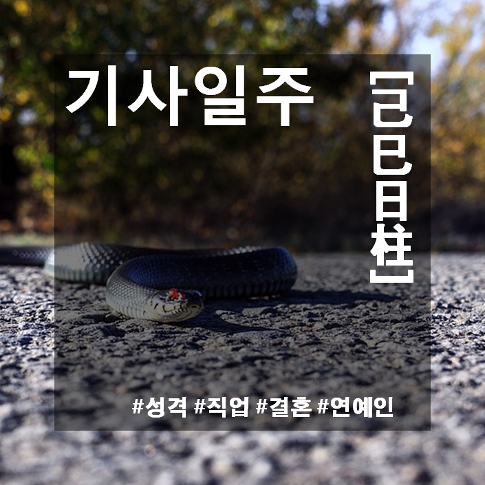 기사일주(己巳日柱) 남자와 여자 성격 및 특징