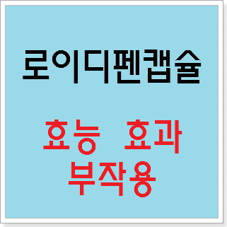 로이디펜캡슐 효능 효과, 부작용 알고 사용하시나요? :: 느리게 즐기면서 꾸준히