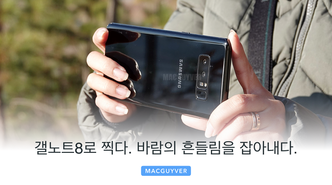 갤럭시노트8 카메라로 찍다. 바람의 흔들림까지 잡아내다. :: 기백이의 맥가이버