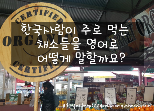 한국 사람이 주로 먹는 채소들, 영어로 어떻게 말할까요?