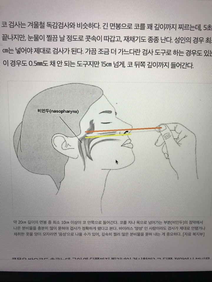 코로나 검사 이렇게 했다. - 사랑맘의 일본이야기