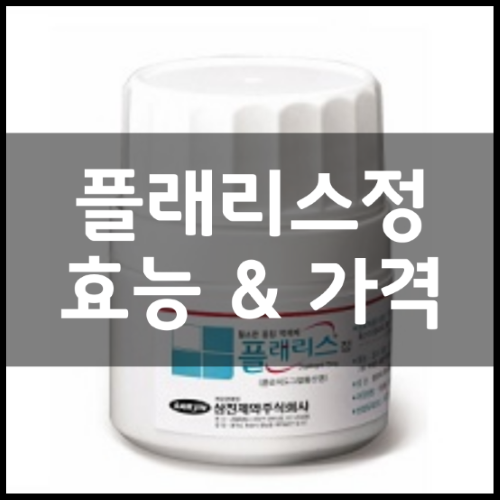 플래리스정 성분 및 효능부터 가격 정리