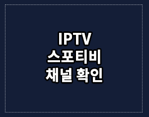 Iptv 스포티비 채널 정리