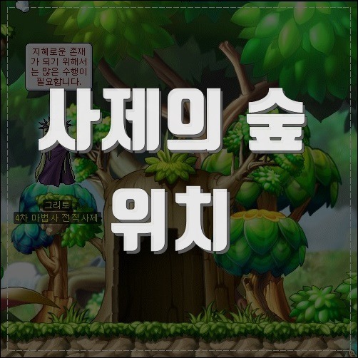 메이플스토리 사제의숲 모험가 4차 전직