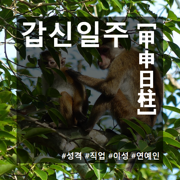 갑신일주(甲申日柱) 남자와 여자