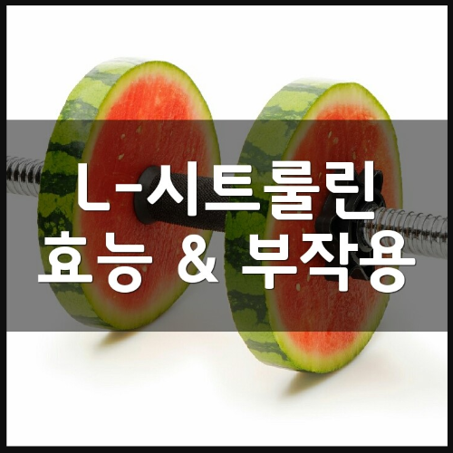 시트룰린 효능부터 말산염 및 파는곳 정리