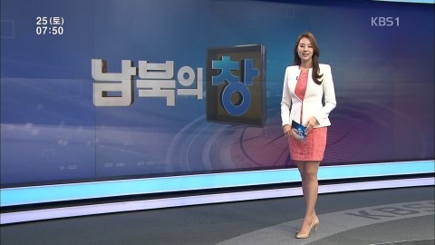 소소한아이의 소소한블로그 :: kbs 9시뉴스 이각경 아나운서 나이 결혼