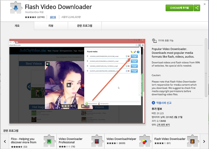 인터넷 동영상 다운로드 일반적인 방법으로 안될 때는 Flash Video Downloader로 해결