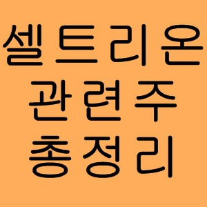 ì…€íŠ¸ë¦¬ì˜¨ ê´€ë ¨ì£¼ ì£¼ì‹ ì´ì •ë¦¬