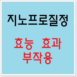 지노프로질정 효능 효과, 부작용 알고 사용하시나요? :: 느리게 즐기면서 꾸준히