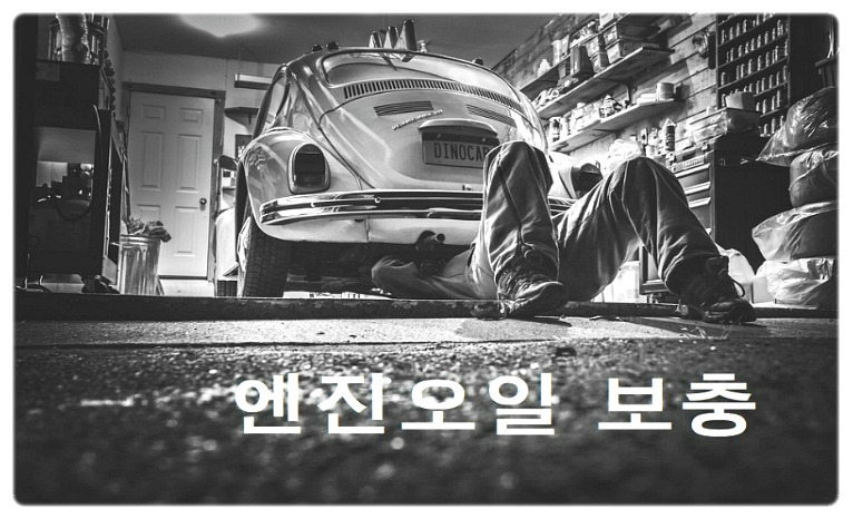 닌맘의 나를 그리다. :: 자동차 엔진오일 보충 혼자했어요~