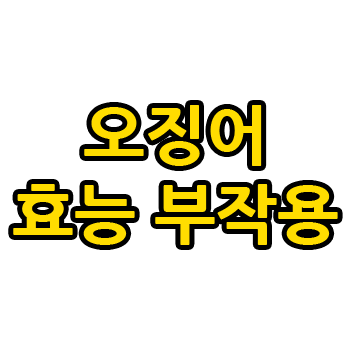 오징어 효능 부작용