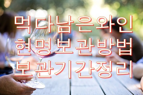 먹다남은 와인 보관방법 와인 남은거 보관기간 완벽정리