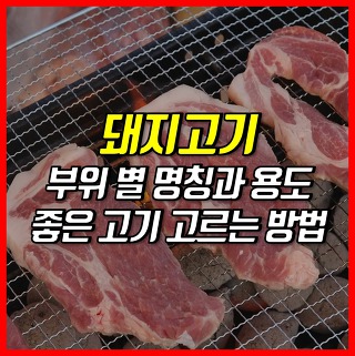 돼지고기 부위별 명칭과 용도, 칼로리는?