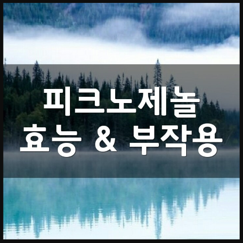 피크노제놀 효능 및 부작용부터 가격 정리