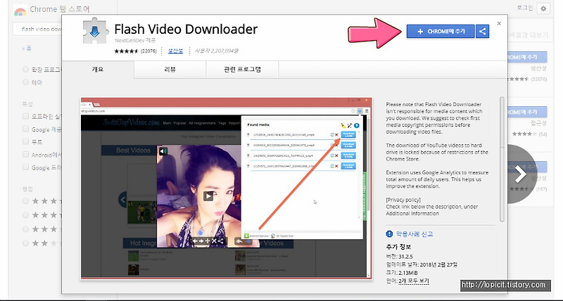 크롬 동영상 다운로드 Flash Video Downloader