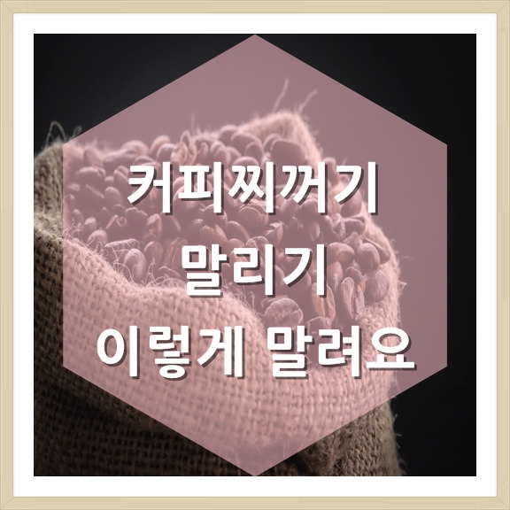 커피찌꺼기 말리기 이렇게 말려요