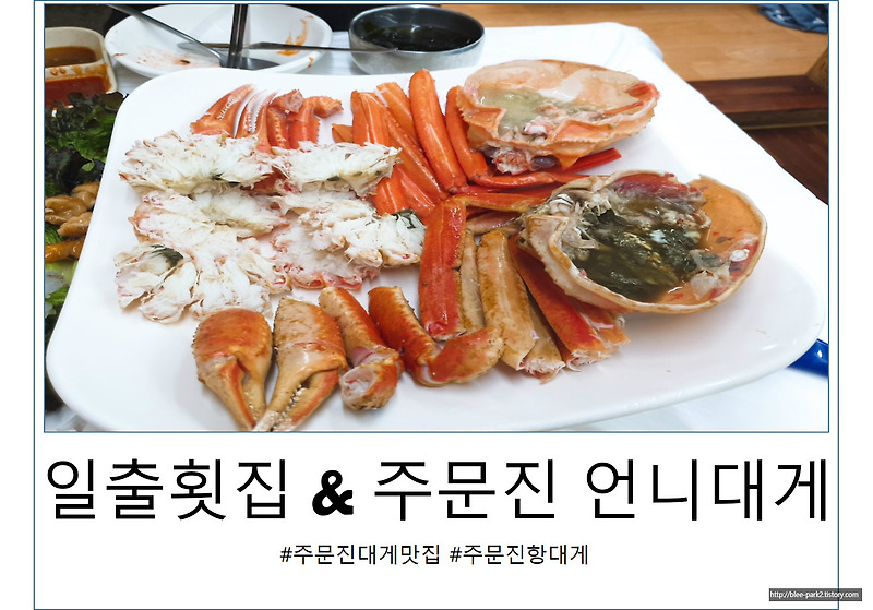 강릉 주문진 수산시장 대게 맛집 일출횟집 주문진 언니대게(가격,메뉴,후기)