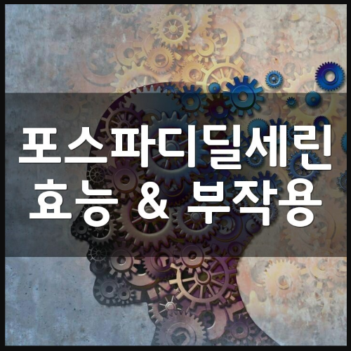 포스파티딜 세린 효능 및 부작용부터 가격 정리