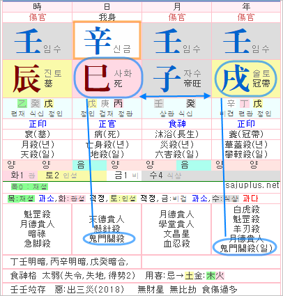 내일을 위해 :: 흉살론(8) - 과거 집착과 난폭, 변덕으로 편중적 성향이 강한 귀문관살