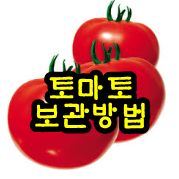 토마토보관방법 (feat. 냉장 냉동)