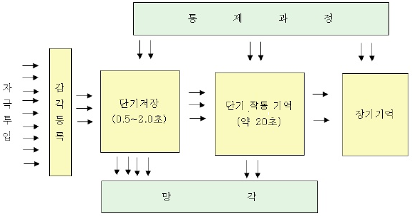 지식저장고(Knowledge Storage) :: [교육심리학] 13. 인지주의 학습이론