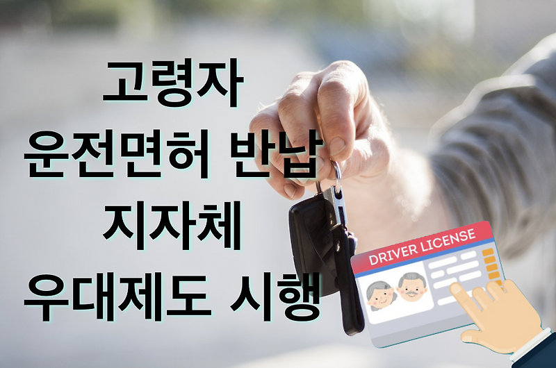 고령자 운전면허 반납 - 지자체 우대제도 시행 :: 겨우내의 아저씨 라이프