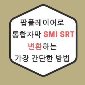 팟플레이어로 통합자막 smi srt 변환하는 가장 간단한 방법