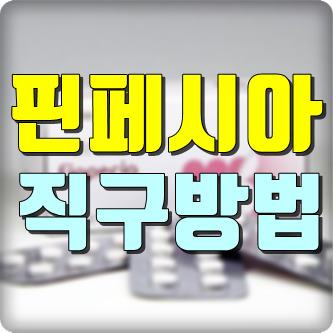 프로페시아(탈모약)의 카피약 핀페시아 직구방법