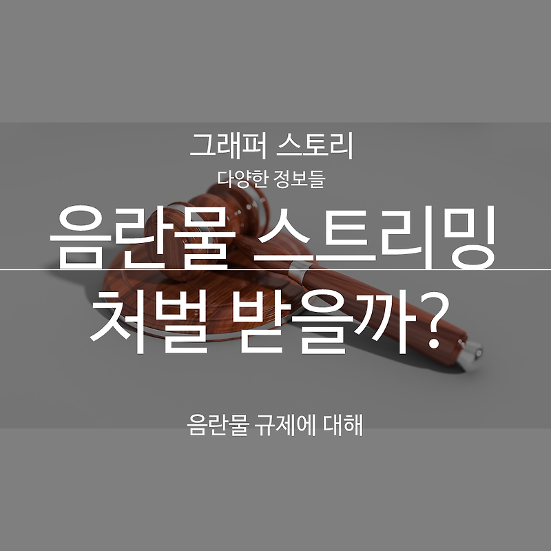 19금 음란물사이트 스트리밍도 처벌 받을까?