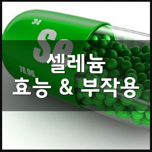 셀레늄 효능 및 주사부터 가격 정리